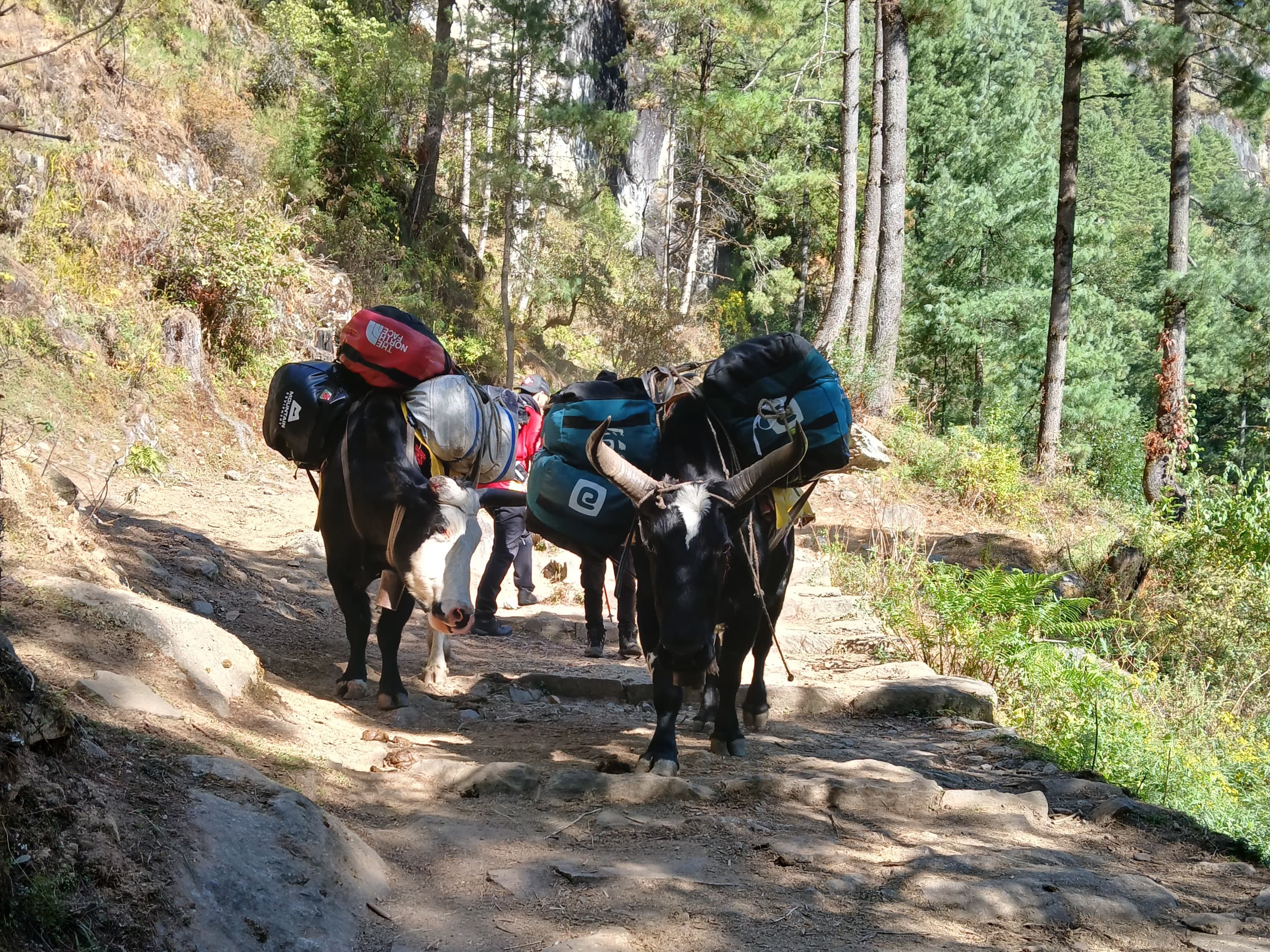 Trekking Gear and Equipment