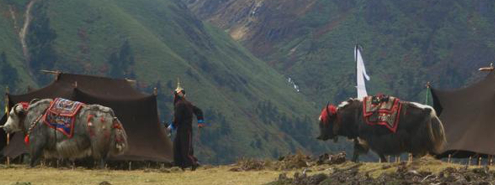 Everest Base camp Trek gallery image 