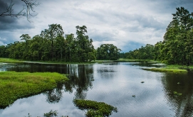 A Vital Conservation Effort for Biodiversity Preservation and Sustainable Tourism