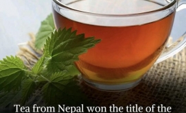 Nepal's Tea Triumph: World's Best Tea Crowned at World Tea Expo 2024