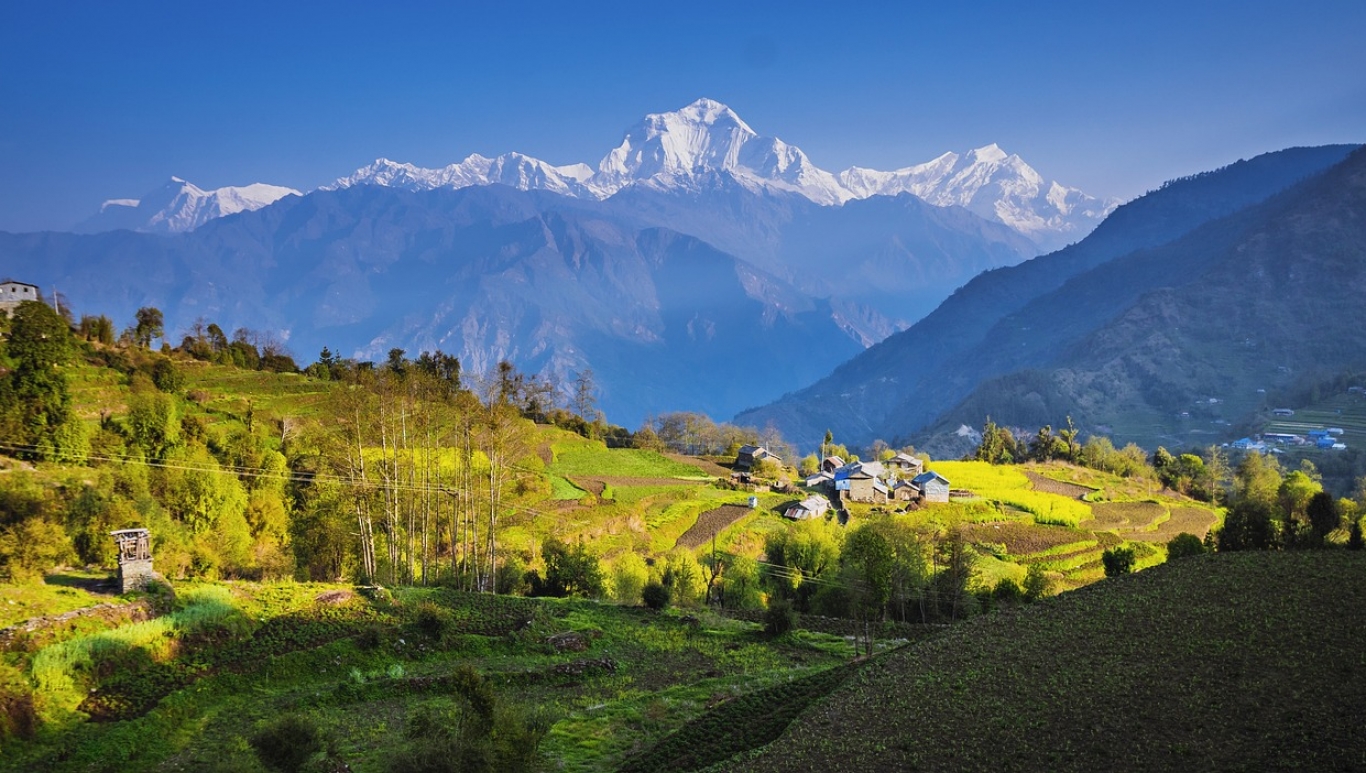 Let's create the best experience of your life together