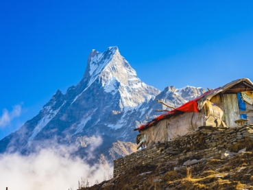 Himalayan View Tour